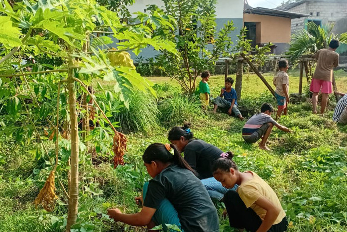 Projekt Sumba
